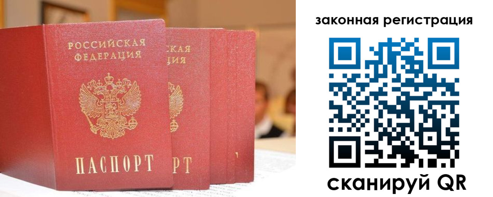 прописка поиск в Амурской области